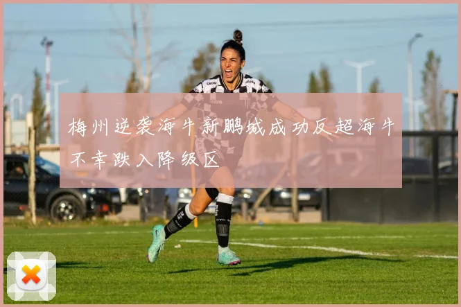 梅州逆袭海牛新鹏城成功反超海牛不幸跌入降级区