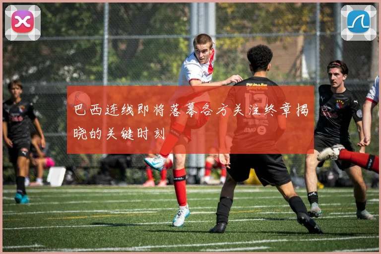 巴西连线即将落幕各方关注终章揭晓的关键时刻