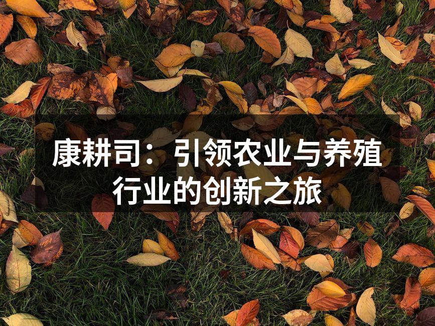 康耕司最新技术展示