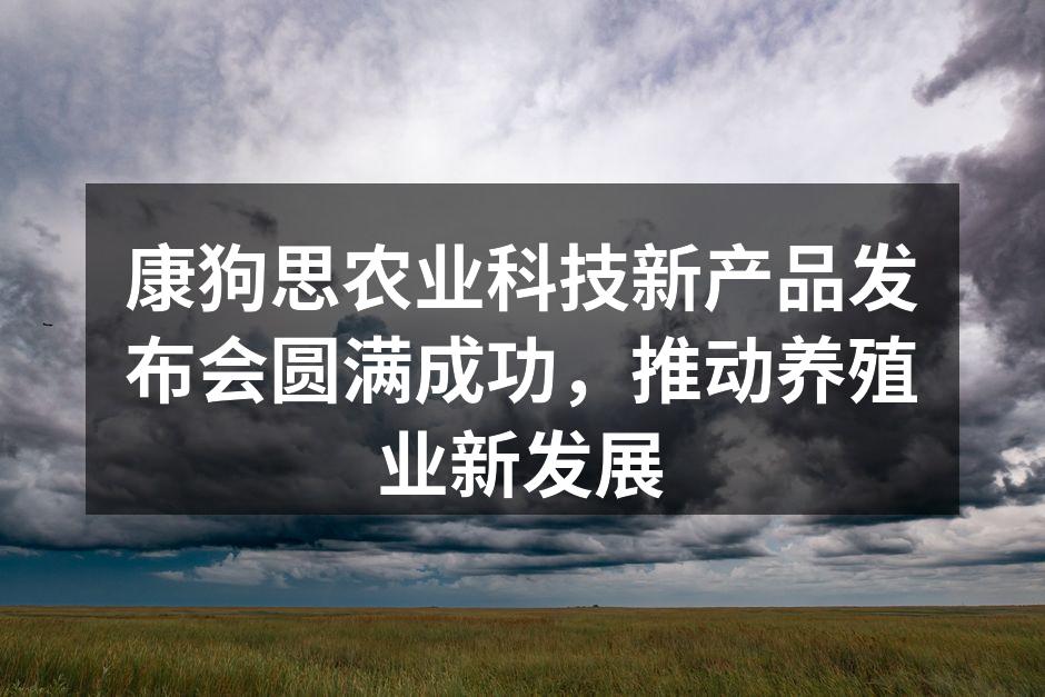 康狗思新产品发布会现场热烈氛围